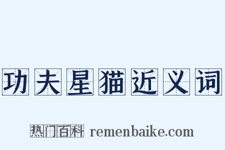 功夫星猫近义词是什么意思的图片